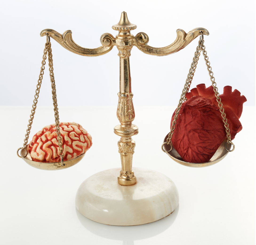 Balance avec un coeur et un cerveau en opposition